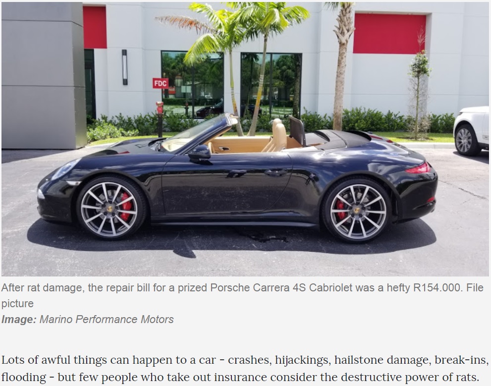 ポルシェはネズミにとっても魅力的!?（画像は『TimesLIVE　2019年8月13日付「Rat causes R154,000 damage to Porsche」（Image: Marino Performance Motors）』のスクリーンショット）