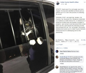 【海外発！Breaking News】強盗と勘違いされ拘束された猫　「無実」を訴えるような姿が人気に（米）