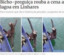【海外発！Breaking News】泳ぎが得意なナマケモノ、ボートに乗ってタイタニックのポーズ（ブラジル）＜動画あり＞