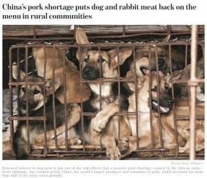 【海外発！Breaking News】アフリカ豚コレラの影響　中国農村部の飲食店で「豚肉の代わりに」犬肉が登場