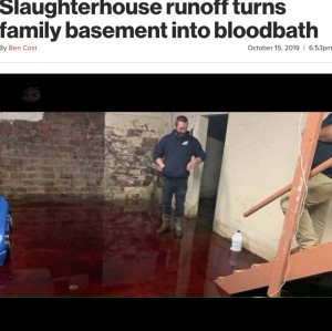 【海外発！Breaking News】「まるでホラー映画」食肉処理場からの排水で自宅地下室が“血の海”に（米）