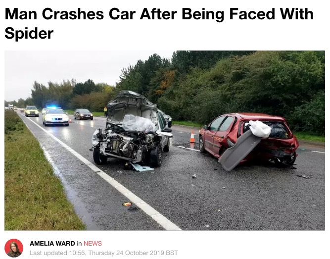 車内に蜘蛛が現れた結果…（画像は『LADbible　2019年10月24日付「Man Crashes Car After Being Faced With Spider」』のスクリーンショット）