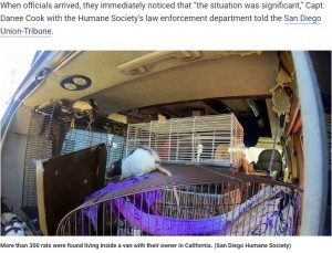 【海外発！Breaking News】2匹のネズミが300匹以上に　車の中で飼っていた女性が助けを求める（米）