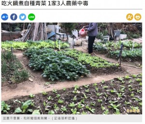 【海外発！Breaking News】自家製野菜の鍋で家族3人に中毒症状　残留農薬が原因（台湾）