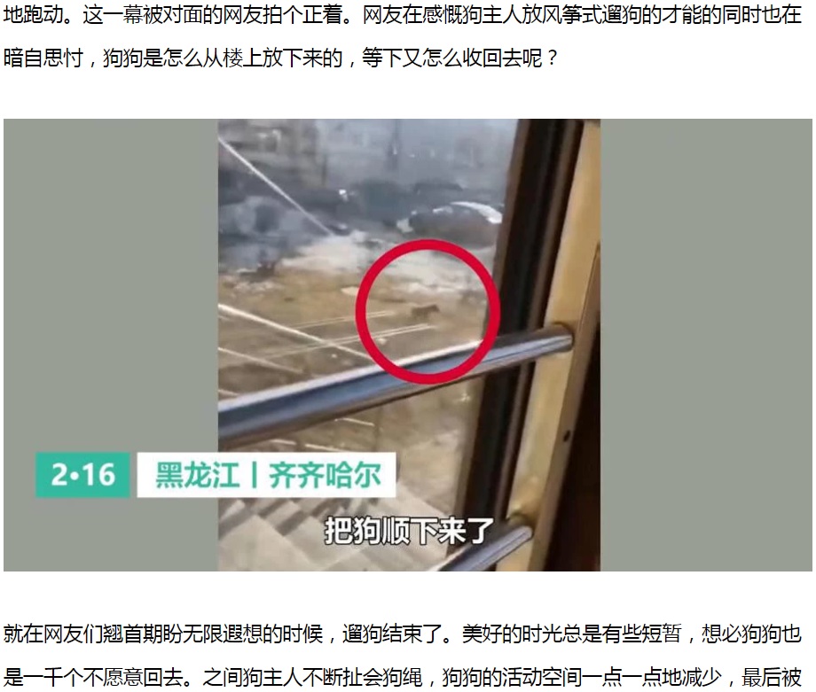 隔離された飼い主、2階窓から犬を散歩させる（画像は『腾讯网　2020年2月17日付「网友居家隔离上演花式遛狗，风筝线有多长狗绳就有多长」』のスクリーンショット）