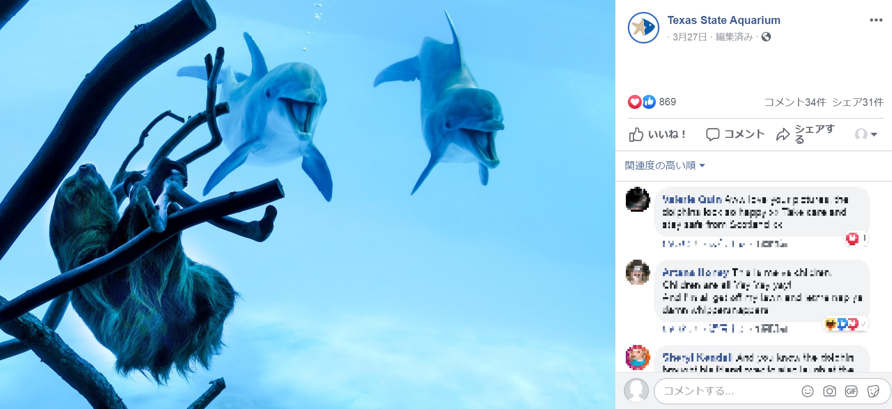 珍客に大興奮のイルカ（画像は『Texas State Aquarium　2020年3月26日付Facebook「With the Aquarium temporarily closed, Chico the sloth had the opportunity for an up-close and personal meeting with some of our dolphins.」』のスクリーンショット）