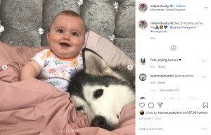 生後9か月のパーカー君とハスキー犬のミリー（画像は『Milperthusky　2018年9月21日付Instagram「Best 9 months of my life」』のスクリーンショット）