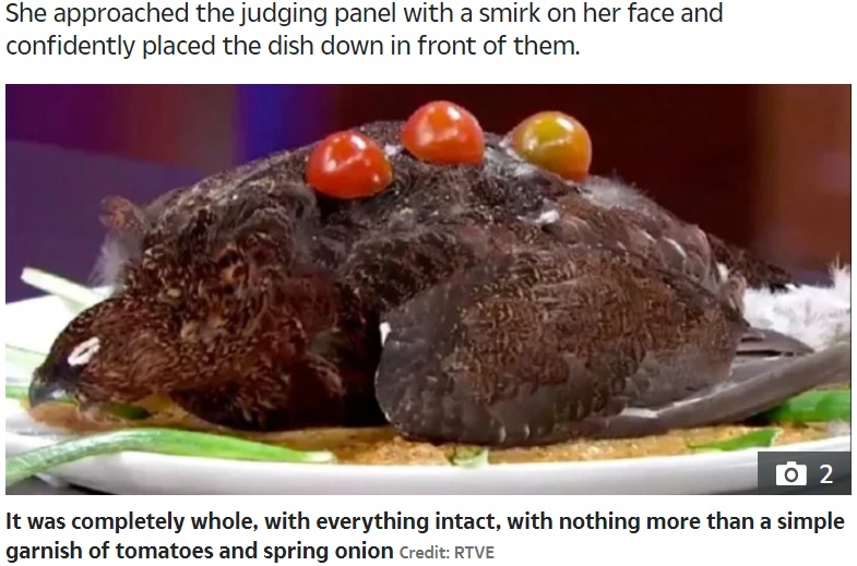 サライさんが提供した未調理のヤマウズラ（画像は『The Sun　2020年5月8日付「WHAT THE CLUCK? MasterChef Spain contestant gets booted after serving judges a fully feathered bird」（Credit: RTVE）』のスクリーンショット）