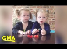 【海外発！Breaking News】フルーツスナックチャレンジに挑戦した双子　思わぬ結果に「残酷な2歳児」の声（米）＜動画あり＞