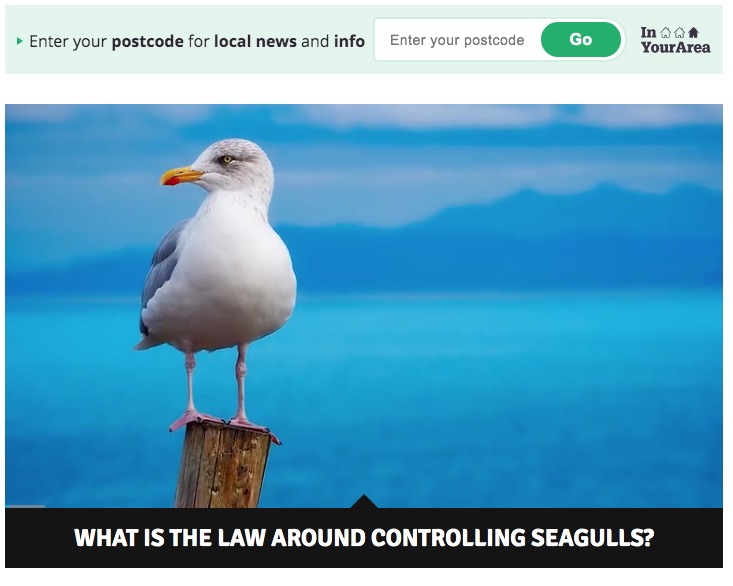 カモメを噛んだ男が逮捕される（画像は『Cornwall Live　2020年7月10日付「Man high on drugs detained by police after biting seagull」』のスクリーンショット）
