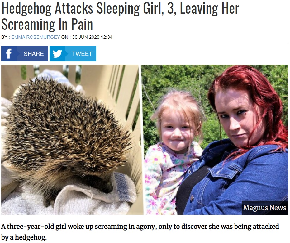 ハリネズミに襲われた3歳少女と母親（画像は『UNILAD　2020年6月30日付「Hedgehog Attacks Sleeping Girl, 3, Leaving Her Screaming In Pain」（Magnus News）』のスクリーンショット）