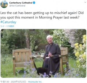 ウィリス司祭の着ているローブの中に入っていく猫の“レオ”（画像は『Canterbury Cathedral　2020年5月23日付Twitter「Leo the cat has been getting up to mischief again!」』のスクリーンショット）