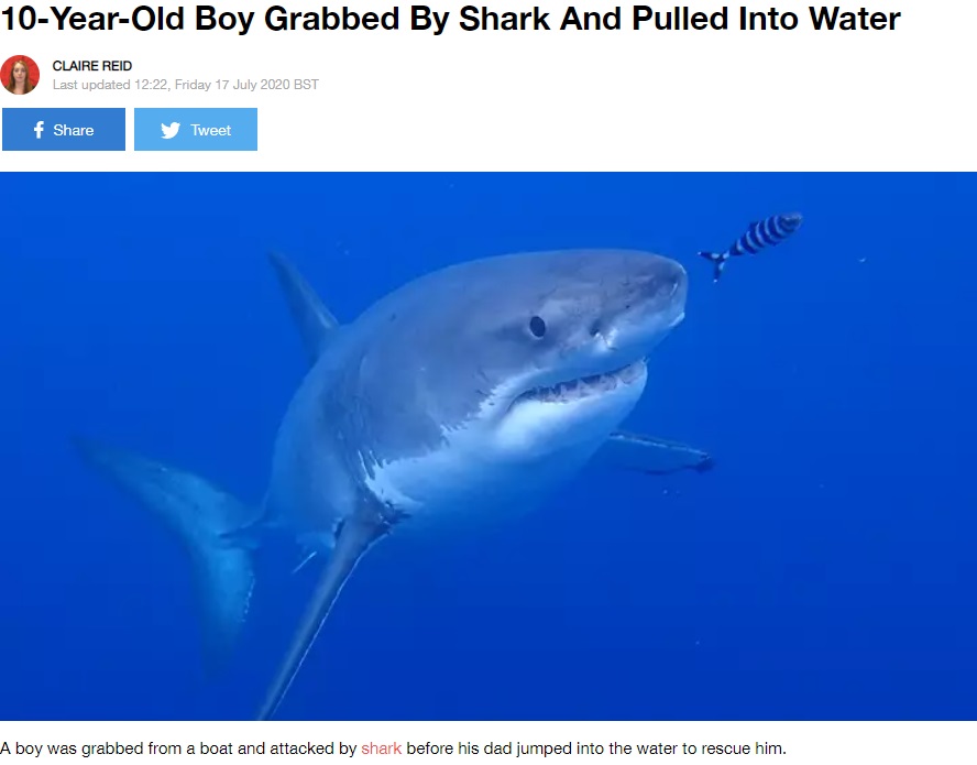少年を襲ったとみられるホホジロザメ（画像は『LADbible　2020年7月17日付「10-Year-Old Boy Grabbed By Shark And Pulled Into Water」』のスクリーンショット）