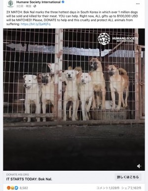 【海外発！Breaking News】今年も韓国「犬肉スープ祭」開催　「恐ろしい飼育状況」の食用犬農場から100頭の犬を救出＜動画あり＞