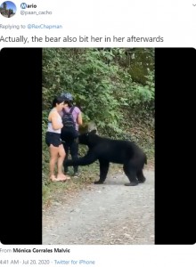 クマに触られながらも冷静な女性たち（画像は『Mario　2020年7月20日付Twitter「Actually, the bear also bit her in her afterwards」』のスクリーンショット）