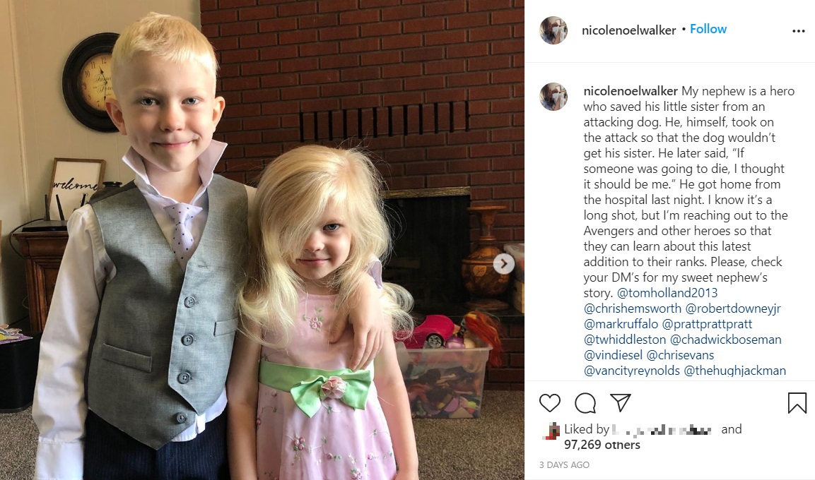 妹（右）を犬から守った勇敢な6歳少年（画像は『Nikki Walker　2020年7月11日付Instagram「My nephew is a hero who saved his little sister from an attacking dog.」』のスクリーンショット）
