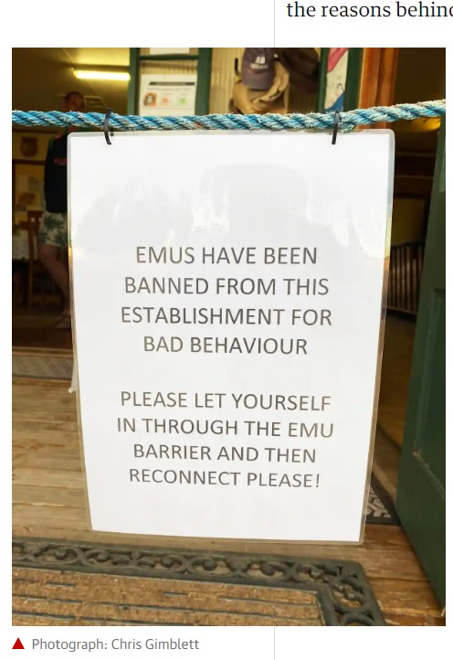 「エミュー達はマナー違反により出入り禁止になりました」と書かれた張り紙（画像は『The Guardian　2020年7月28日付「‘Smelly and create great stains’: emus banned from pub in outback Australia town」（Photograph: Chris Gimblett）』のスクリーンショット）