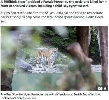 【海外発！Breaking News】シベリアトラに襲われた飼育員が死亡　営業再開したばかりのスイスの動物園で