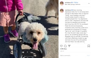 犬用の車椅子を使うコーラ（画像は『Zach Skow　2020年6月16日付Instagram「Every morning, depression tells me I’m not trying hard enough to feel better」』のスクリーンショット）