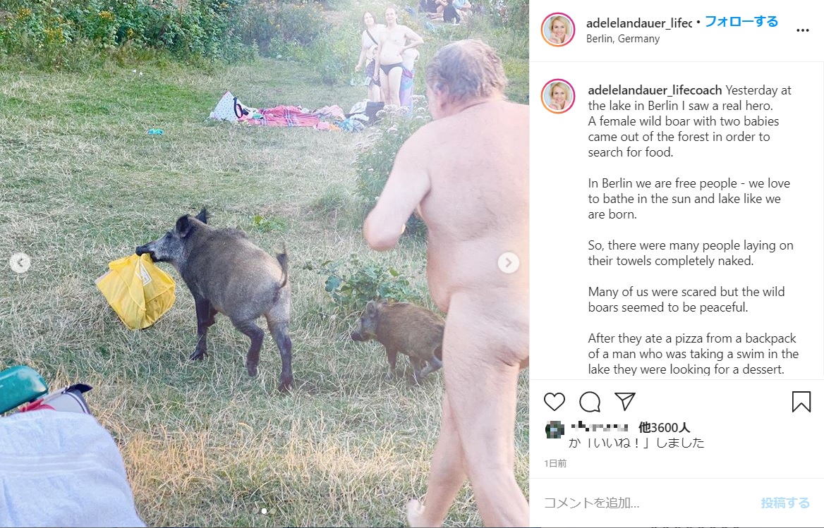一連の出来事を撮影していたアデルさんの投稿（画像は『Personal ＆ Digital Mentor　2020年8月7日付Instagram「Yesterday at the lake in Berlin I saw a real hero.」』のスクリーンショット）