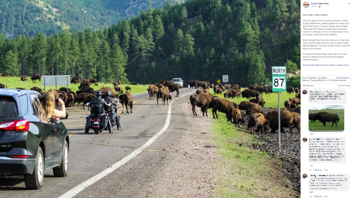 バイソンを間近で見ることができると人気のカスター州立公園（画像は『Custer State Park　2020年8月14日付「PSA TIME, PARK PEEPS:」』のスクリーンショット）