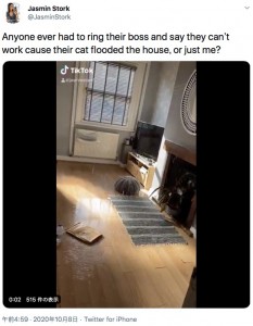 飼い主が帰宅すると部屋が水浸しに（画像は『Jasmin Stork　2020年10月8日付Twitter「Anyone ever had to ring their boss and say they can’t work cause their cat flooded the house, or just me?」』のスクリーンショット）