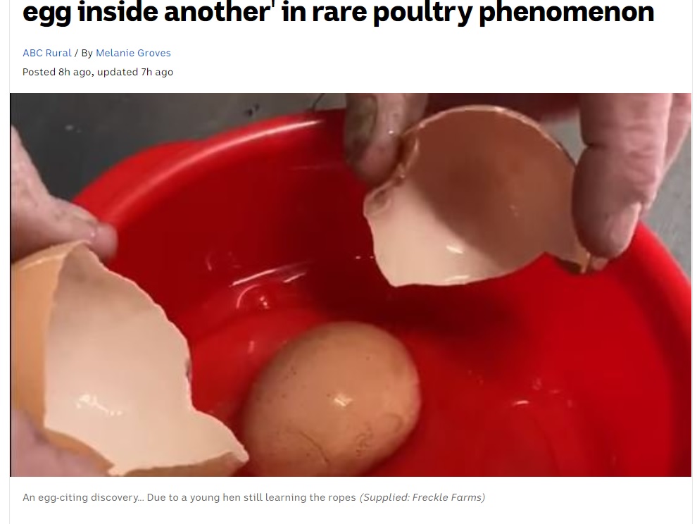 大きな卵を割ると、さらにもう1つ卵が（画像は『ABC News　2020年11月10日付「Eton free-range egg producer discovers ‘entire egg inside another’ in rare poultry phenomenon」（Supplied: Freckle Farms）』のスクリーンショット）
