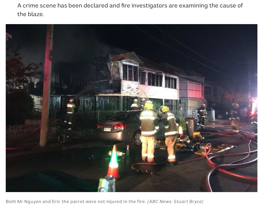 1時間以上かかったという消火作業（画像は『ABC News　2020年11月4日付「Parrot saves owner from Brisbane house fire by raising alarm before smoke detectors」（ABC News: Stuart Bryce）』のスクリーンショット）