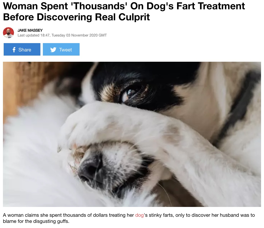 犬も何度も検査をさせられて大迷惑!?（画像は『LADbible　2020年11月3日付「Woman Spent ‘Thousands’ On Dog’s Fart Treatment Before Discovering Real Culprit」』のスクリーンショット）