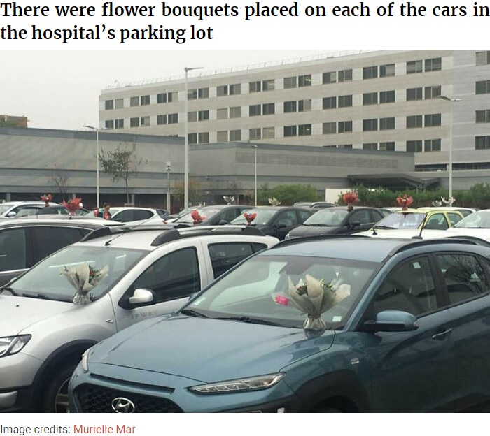 スタッフ駐車場の全ての車に花束のサプライズ（画像は『Bored Panda　2020年11月5日付「This Florist Places Hundreds Of Bouquets On Caregivers’ Cars In A Hospital Parking Lot After Being Forced To Throw Away Unsold Flowers」（Image credits: Murielle Mar）』のスクリーンショット）