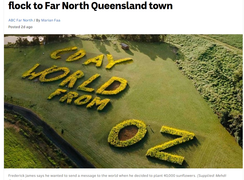4万本以上のひまわりを使った巨大なメッセージ（画像は『ABC News　2020年11月5日付「Sunflower message spreads joy as thousands flock to Far North Queensland town」（Supplied: Mehdi Genest）』のスクリーンショット）