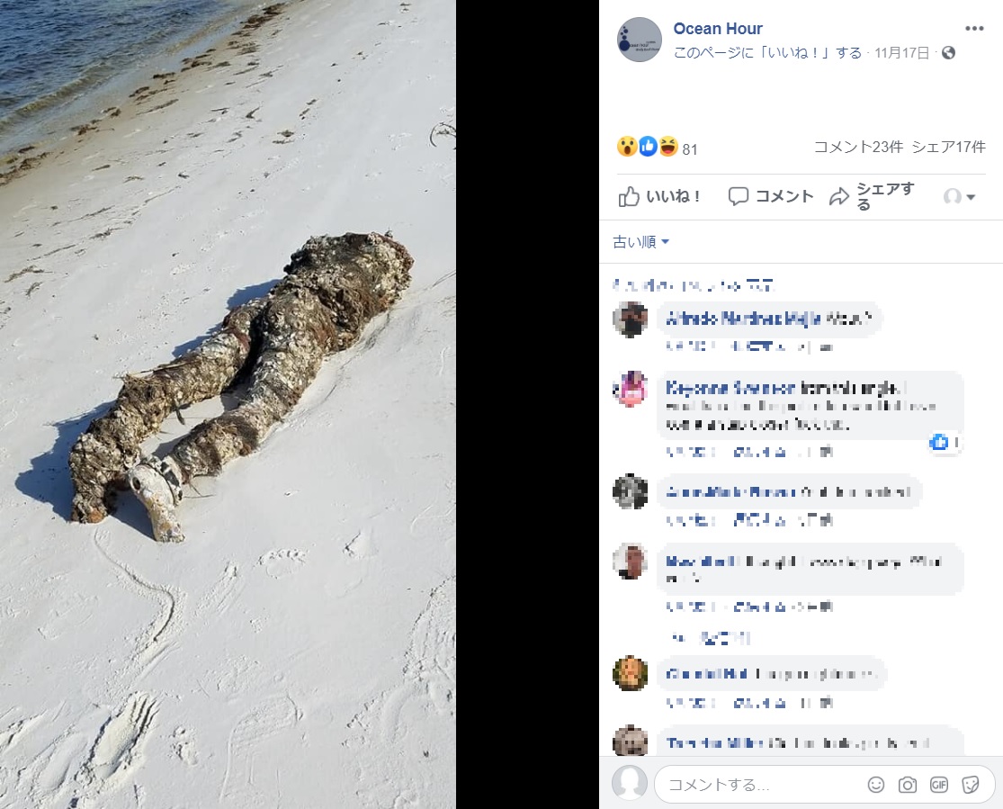 海岸で発見したあまりに人騒がせなマネキン（画像は『Ocean Hour　2020年11月17日付Facebook「Volunteer Kathleen was walking the intercoastal side in Perdido Key...」』のスクリーンショット）