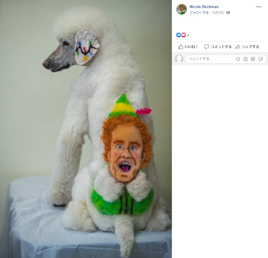 色鮮やかなデコレーション（画像は『Nicole Beckman　2020年12月1日付Facebook「Merry Christmas from Buddy the Elf!」』のスクリーンショット）