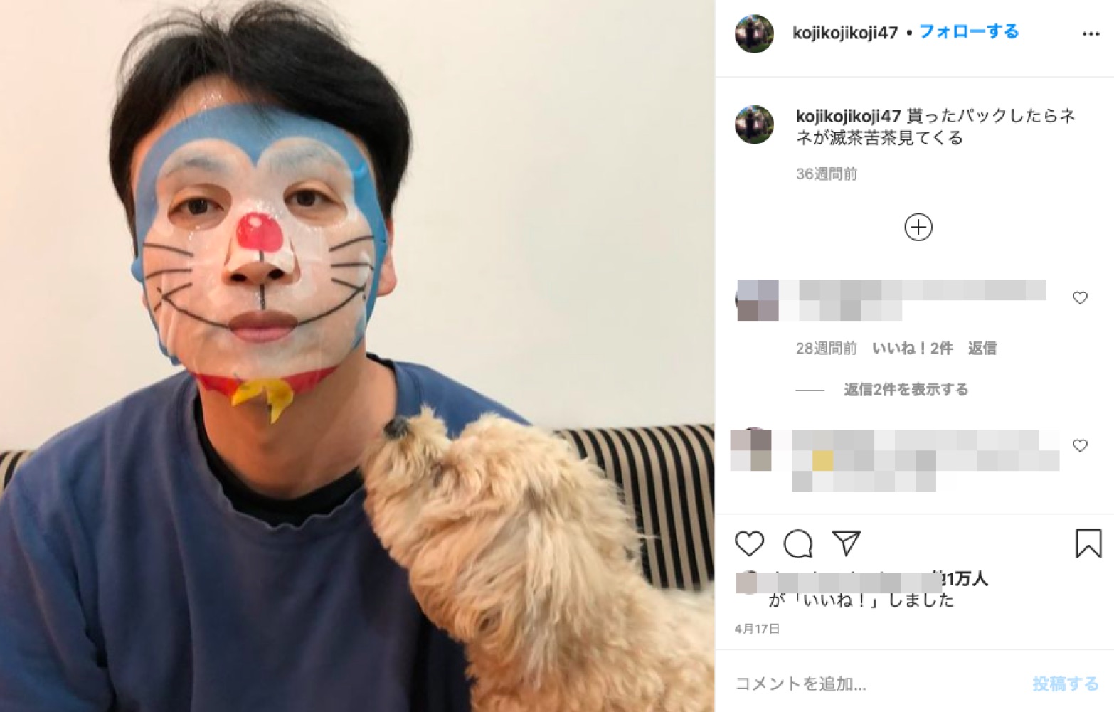 2歳になる愛犬のネネちゃん（画像は『児嶋一哉　2020年4月17日付Instagram「貰ったパックしたらネネが滅茶苦茶見てくる」』のスクリーショット）