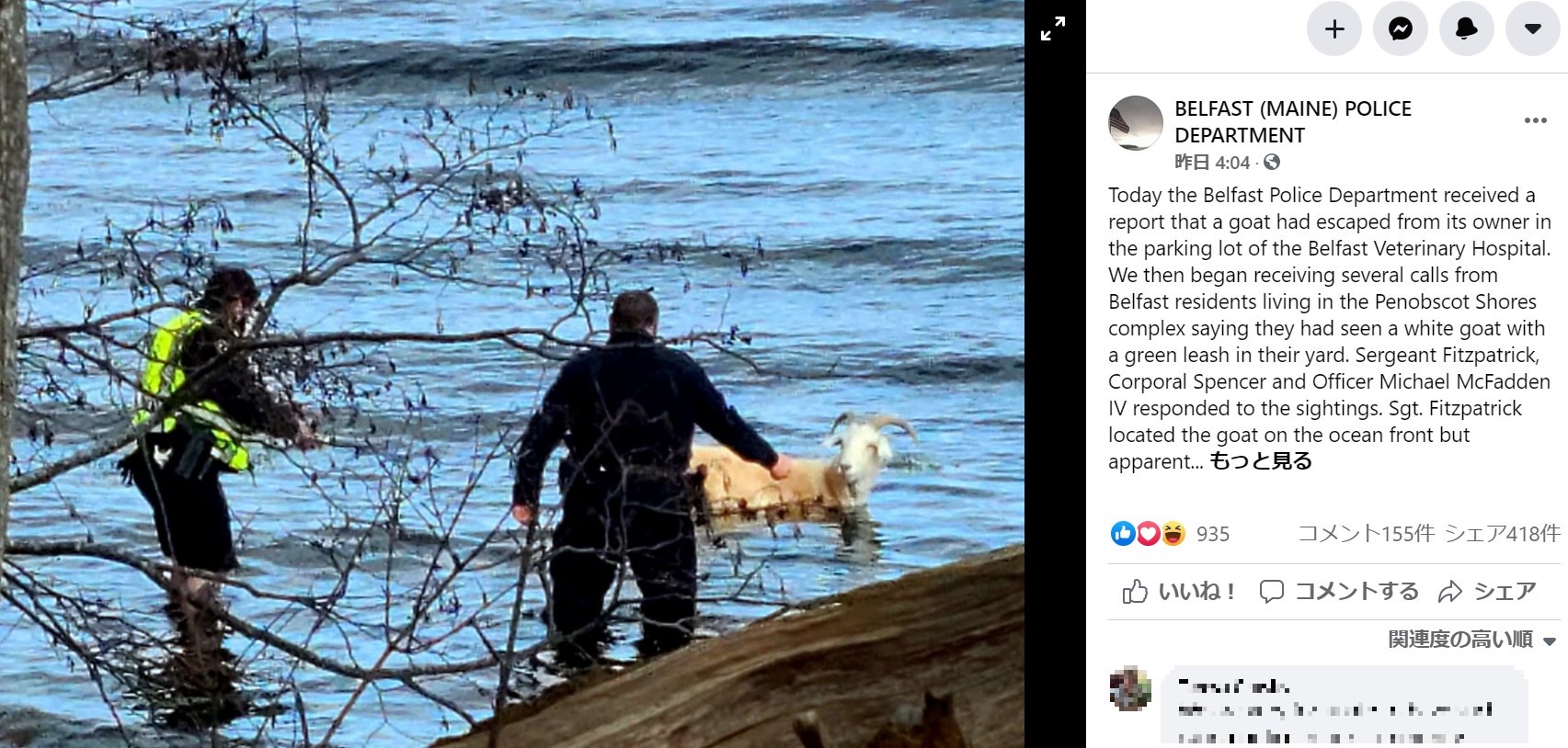 海に入ったヤギを追いかける地元警察官（画像は『BELFAST （MAINE） POLICE DEPARTMENT　2020年12月30日付Facebook「Today the Belfast Police Department received a report that a goat had escaped from its owner in the parking lot of the Belfast Veterinary Hospital.」』のスクリーンショット）