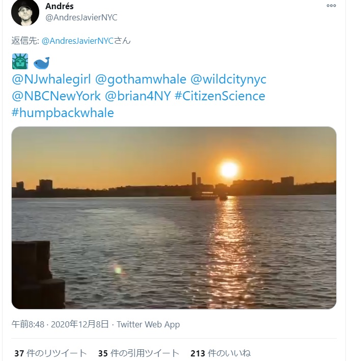 夕暮れ時のハドソン川に現れたザトウクジラ（画像は『Andrés　2020年12月8日付Twitter「＠NJwhalegirl ＠gothamwhale ＠wildcitynyc ＠NBCNewYork ＠brian4NY」』のスクリーンショット）