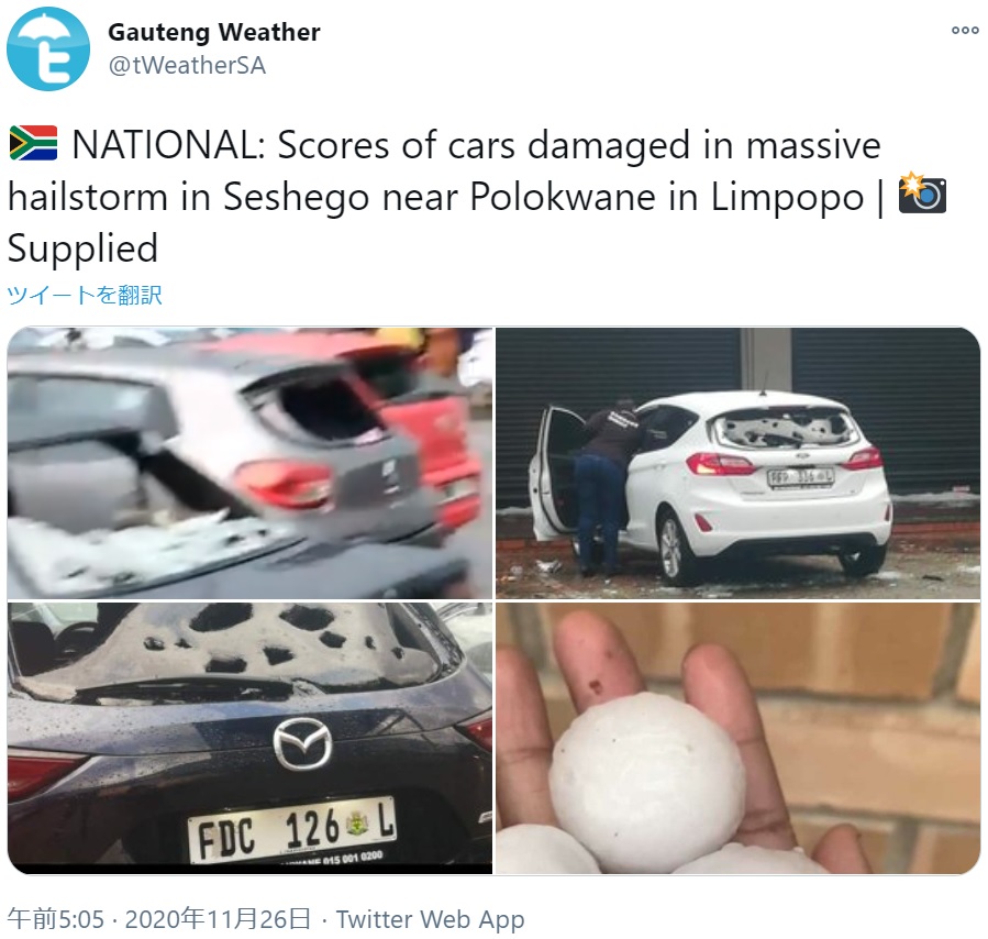 手にのるほどの巨大なヒョウ（画像は『Gauteng Weather　2020年11月25日付Twitter「NATIONAL: Scores of cars damaged in massive hailstorm in Seshego near Polokwane in Limpopo」』のスクリーンショット）