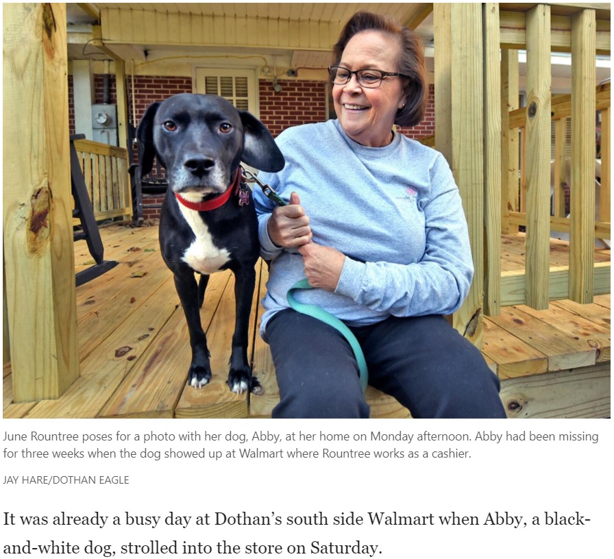 愛犬との再会は「夢のよう」と飼い主（画像は『Tulsa World　2020年12月2日付「Miracle on Register 6: Woman has unlikely reunion with dog at Alabama Walmart」（JAY HARE/DOTHAN EAGLE）』のスクリーンショット）