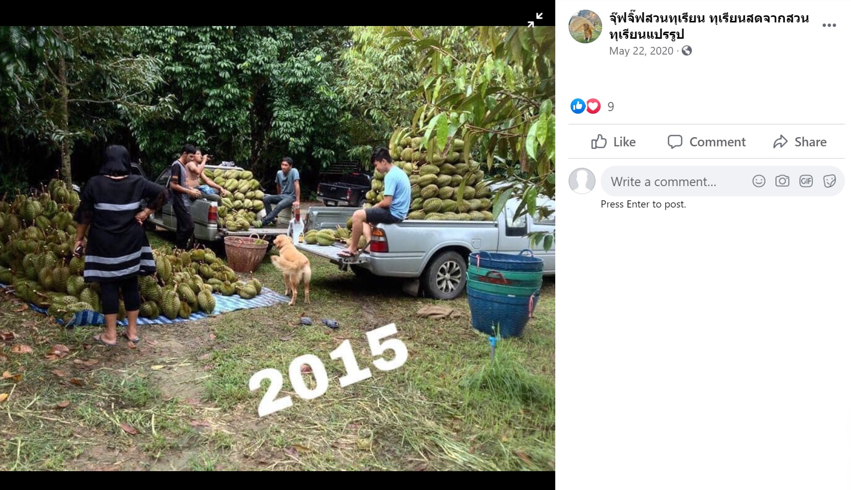 2015年の収穫後、くつろぐ一家とジュブジブ（画像は『จุ๊ฟจิ๊ฟสวนทุเรียน ทุเรียนสดจากสวน ทุเรียนแปรรูป　2020年5月22日付Facebook』のスクリーンショット）