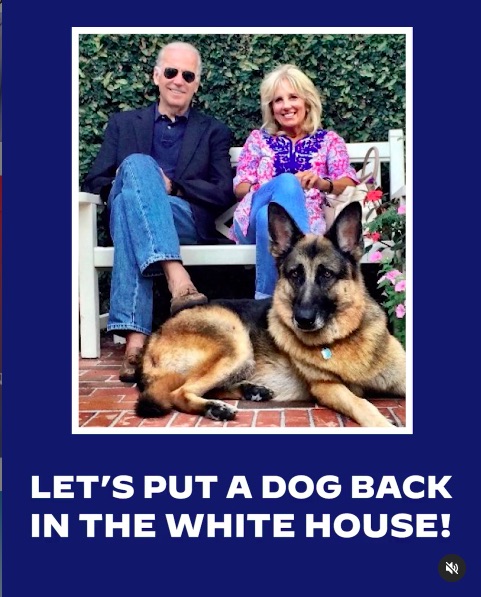 選挙期間中から「ホワイトハウスに再び犬を！」を合言葉にしていたバイデン夫妻（画像は『Joe Biden　2020年10月31日付Instagram「These dogs are here for some paw-sitive encouragement as we get closer to election day.」』のスクリーンショット）
