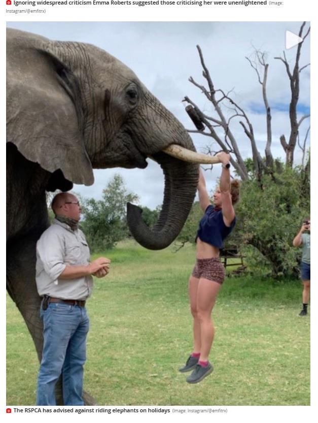 ゾウの牙を掴み懸垂する女性（画像は『Mirror　2021年1月5日付「Gym owner sparks backlash after being pictured doing pull ups on elephant tusks」（Image: Instagram/＠emfitrx）』のスクリーンショット）