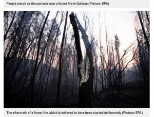 この火災で約400ヘクタールが焼失（画像は『Metro　2021年1月16日付「Skies turn red over Chile as ‘deliberate’ wildfires tear through people’s homes」（Picture: EPA）』のスクリーンショット）