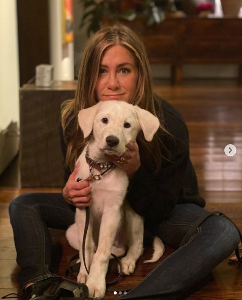 以前はダークな髪色だったジェニファー（画像は『Jennifer Aniston　2020年11月26日付Instagram「We’re grateful」』のスクリーンショット）