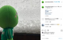 【エンタがビタミン♪】まりもっこり「今日の雪は“ねっぱる”」とつぶやくも、道産子にも通じず