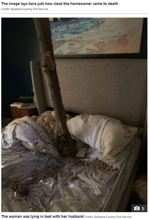 就寝中の女性に木の先端が落下も、軽いケガで済んだ（画像は『The Sun　2021年1月14日付「BUMP IN THE NIGHT Wild pic shows how Washington woman was pinned to her bed by TREE that fell through ceiling as she slept in storm」（Credit: Spokane County Fire Service）』のスクリーンショット）