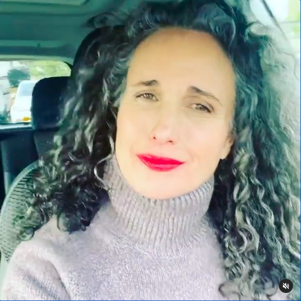 「“白髪”じゃなくて“ギンギツネ”と呼んで！」（画像は『Andie Macdowell　2020年11月25日付Instagram「Well I cracked myself up」』のスクリーンショット）