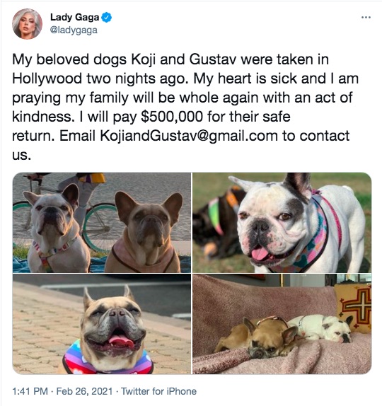 愛犬の無事を祈るレディー・ガガ（画像は『Lady Gaga　2021年2月26日付Twitter「My beloved dogs Koji and Gustav were taken in Hollywood two nights ago.」』のスクリーンショット）