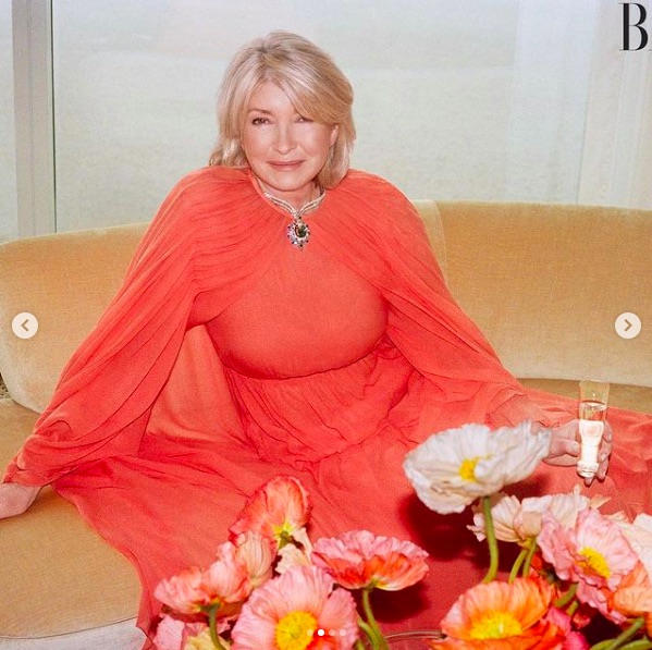 春を感じさせる華やかなドレス姿も（画像は『Martha Stewart　2021年2月24日付Instagram「More photos from ＠harpersbazaarus ＠cassblackbird ＠daisybeautytoye ＠samiranasr」』のスクリーンショット）