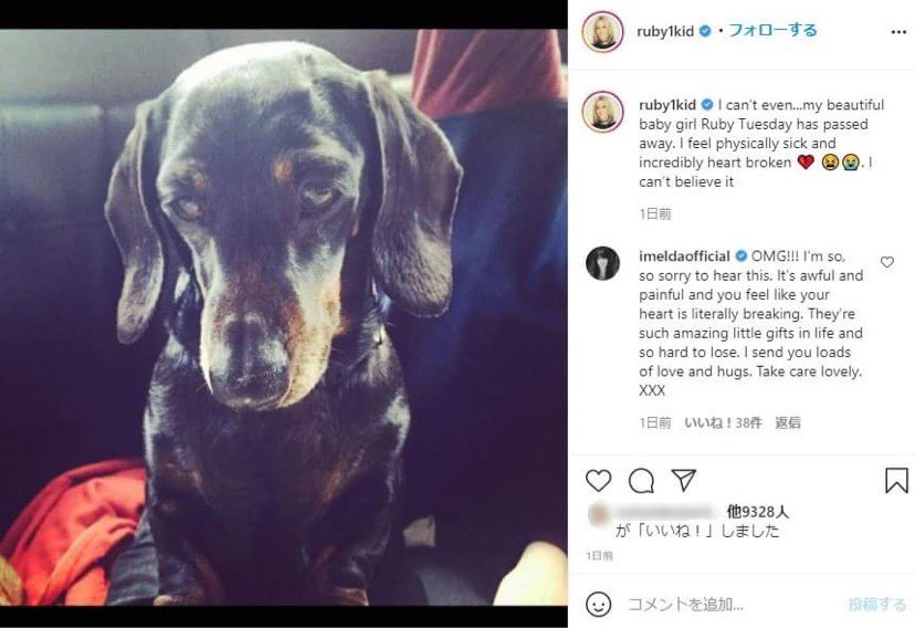 元妻ニコールもルビーちゃんを追悼（画像は『Nicole Appleton　2019年8月6日付Instagram「I can’t even...my beautiful baby girl Ruby Tuesday has passed away.」』のスクリーンショット）