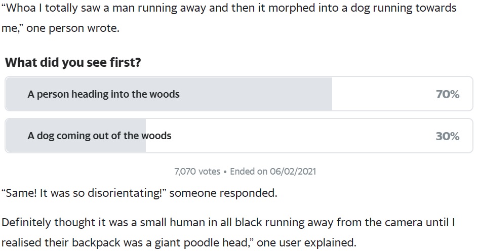 『Yahoo News Australia』によるアンケートでは7割が「男が去る姿に見える」と回答（画像は『Yahoo News Australia　2021年2月3日付「‘I’m so confused’: Optical illusion photo sends internet into a spin」』のスクリーンショット）